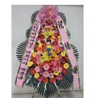 Uploaded File
